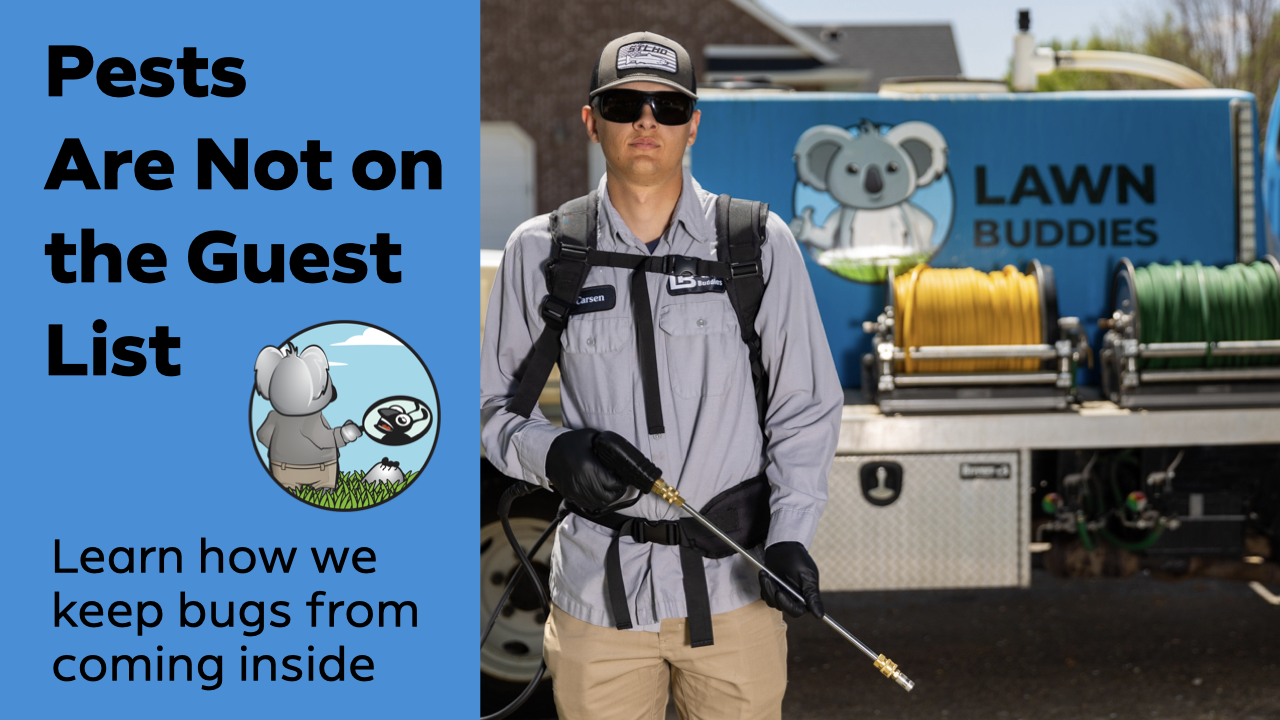 M&h Bed Bug Exterminator Detroit Mi