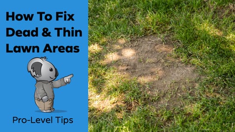 Fix Dead Thin Areas - Thumb.001